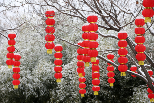 雪中的红灯笼