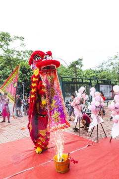 中国传统舞狮