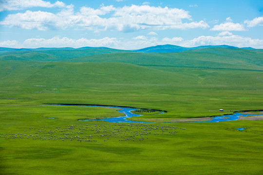 夏季草原河流羊群蒙古包