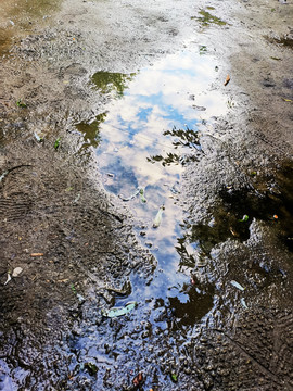 雨果天晴后水洼里的蓝天白云