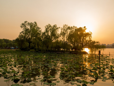 济南大明湖夕阳美景