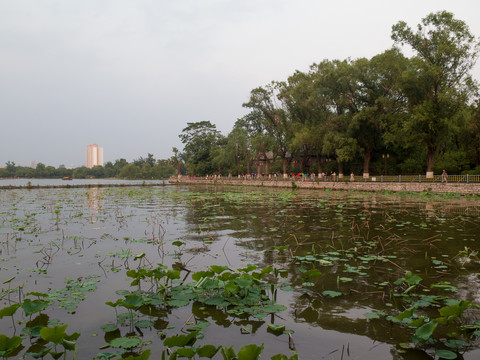 济南大明湖风光