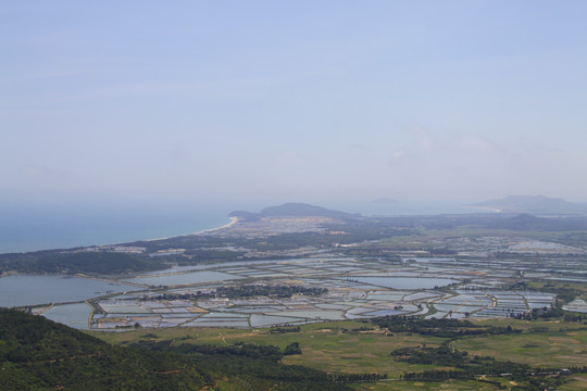 海岸