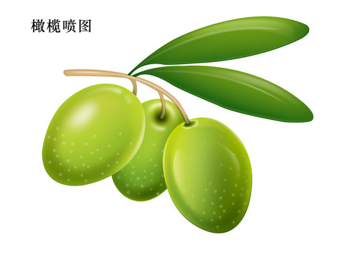 橄欖