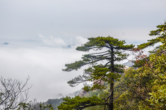 云海山景