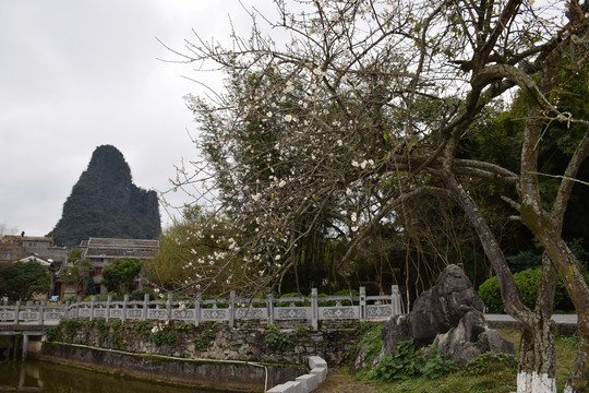 风景