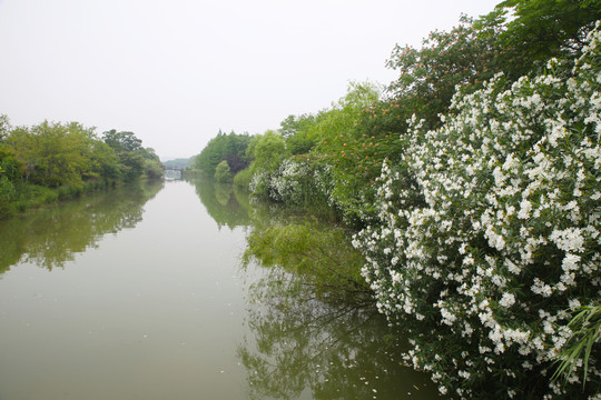 苏州太湖国家湿地公园