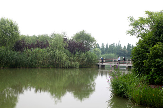 苏州太湖国家湿地公园