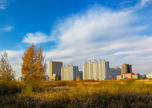 秋天杨树高层住宅