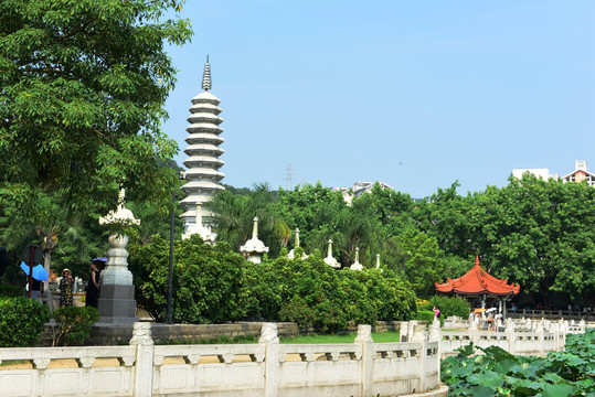 福建厦门南普陀寺荷塘风景