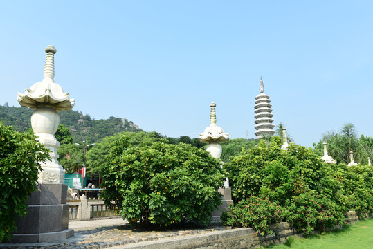 福建厦门南普陀寺荷塘风景