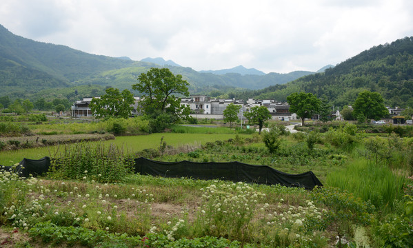 皖南山村