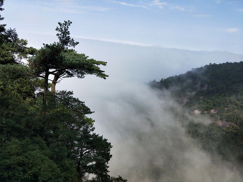 高山