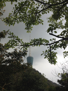 深圳梧桐山风景