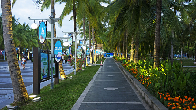 椰树长廊