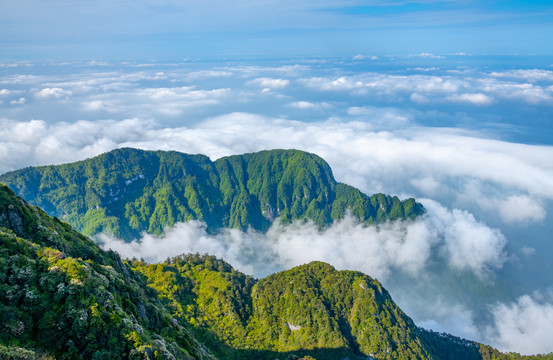 峨眉山的山体与云海