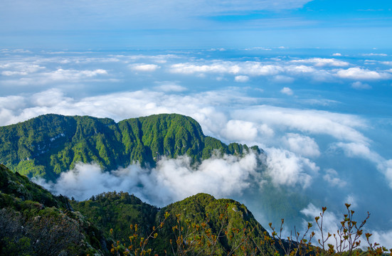 峨眉山的山体与云海