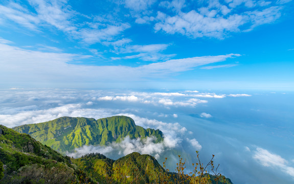 峨眉山的山体与云海