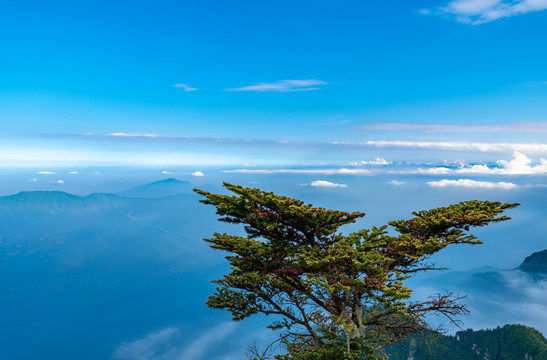 峨眉山的山体与云海