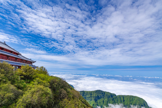 峨眉山的山峰与云海