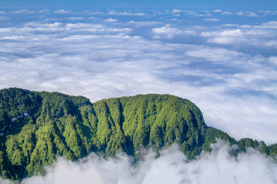 峨眉山的山峰与云海