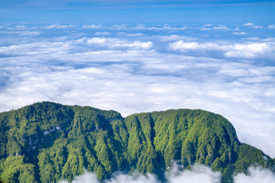 峨眉山的山峰与云海