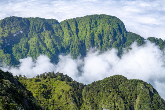 峨眉山的山峰与云海