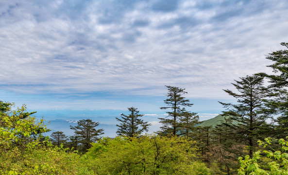 峨眉山半山腰的风光