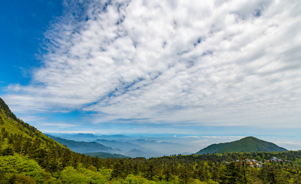 峨眉山雷洞坪的自然风光