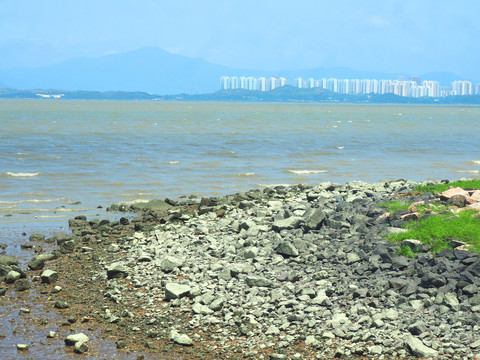 深圳湾海滩