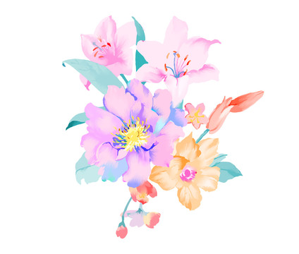 优雅的手绘玉兰花和牡丹花花卉