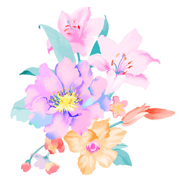 优雅的手绘玉兰花和牡丹花花卉