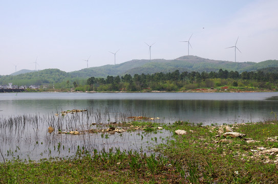 湖泊生態(tài)