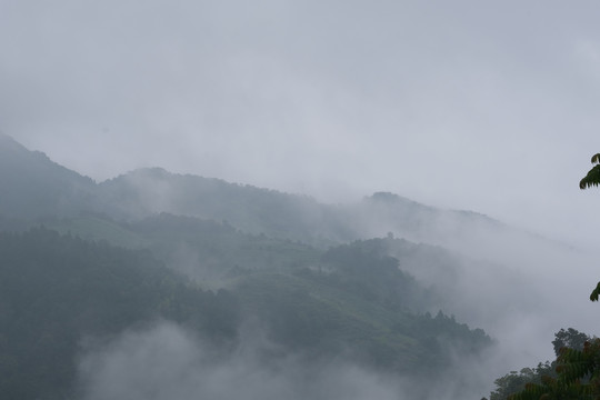 清晨山间云雾