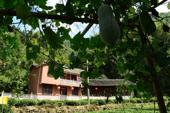 民居建筑特色