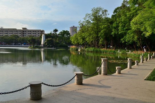 广西大学