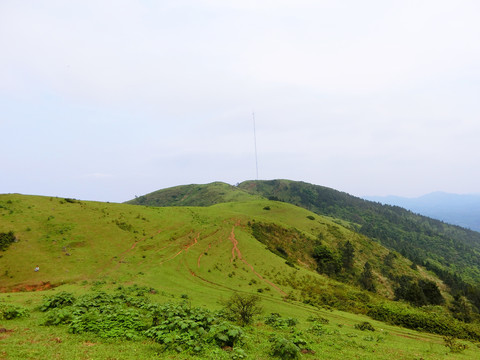 自然风景