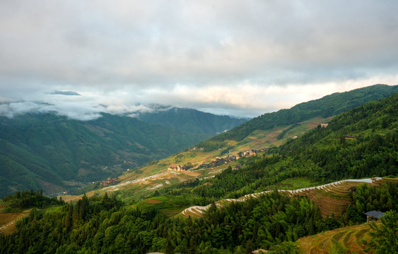 龙脊梯田