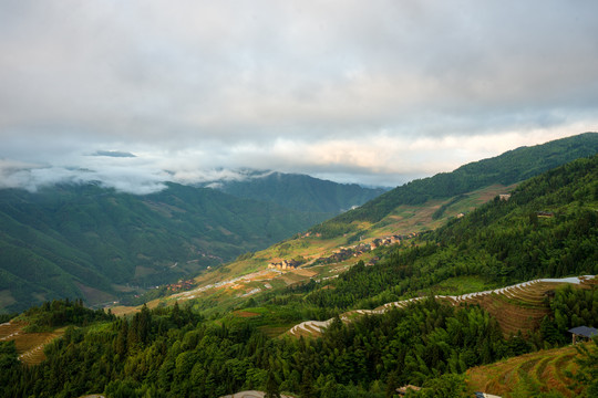 龙脊梯田