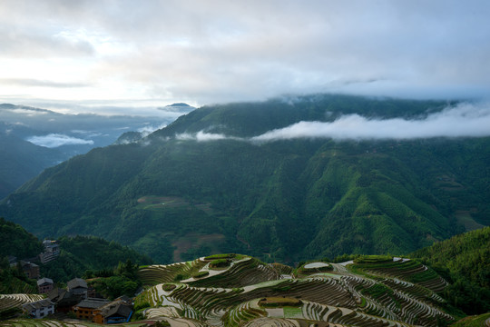 龙脊梯田