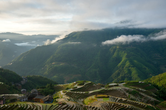 龙脊梯田