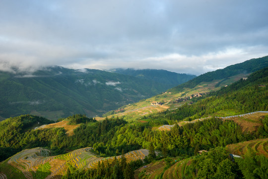 龙脊梯田