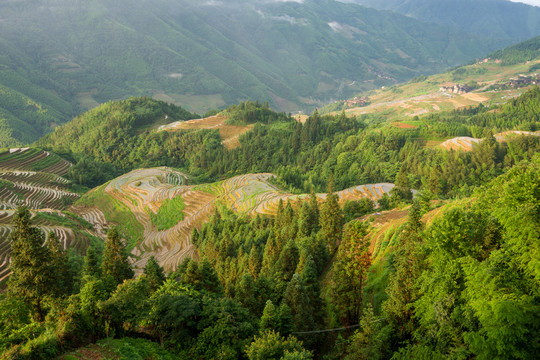 龙脊梯田