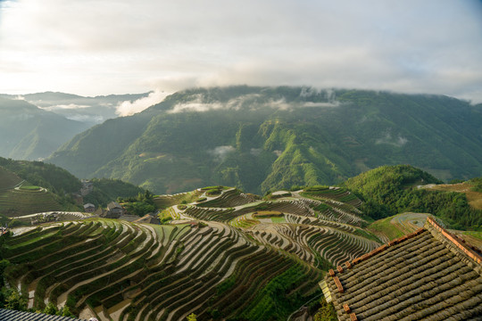 龙脊梯田