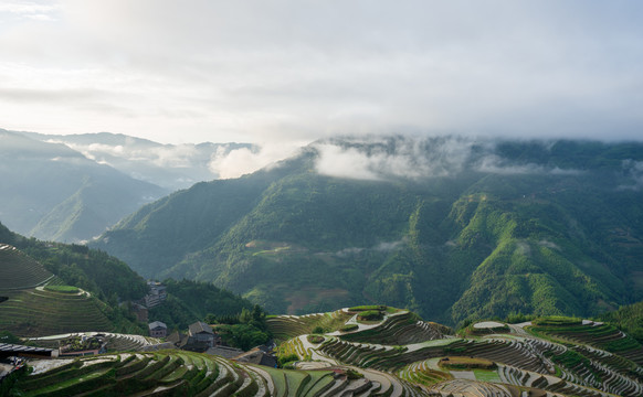 龙脊梯田