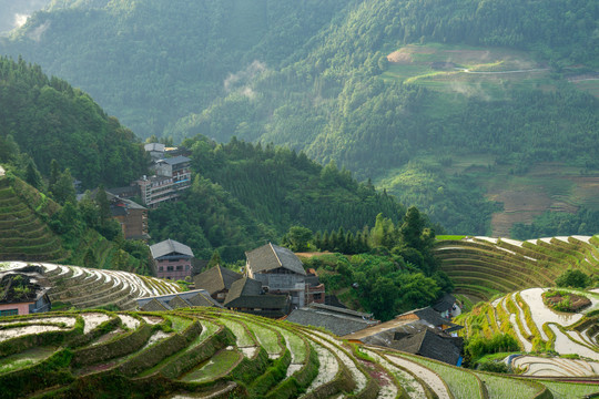 龙脊梯田