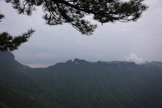 湖北神农架风光