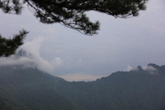 湖北神农架风光