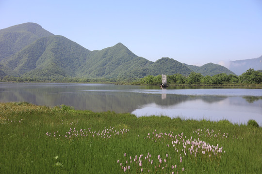 神农架大九湖风光