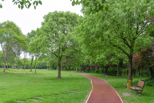 跑道步道